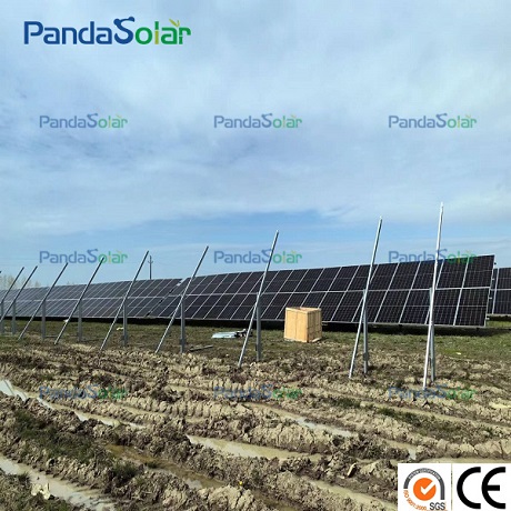 El proyecto solar montado en tierra de 5 MW de Pandasolar está en construcción y continúa su impulso a las energías renovables