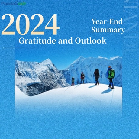Resumen de fin de año 2024: gratitud y perspectivas